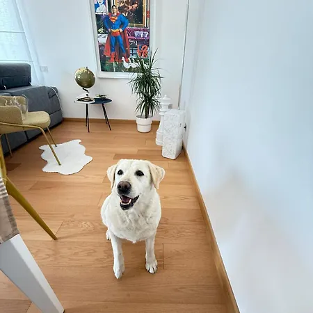 Nada Bianca - Attico Di Luce *